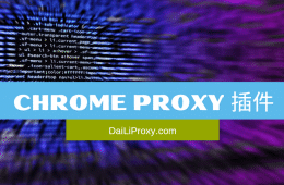 Chrome Proxy 插件