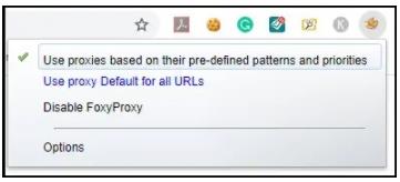 Chrome 的Foxyprox代理设置1
