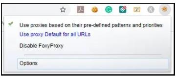 Chrome 的Foxyprox代理设置6