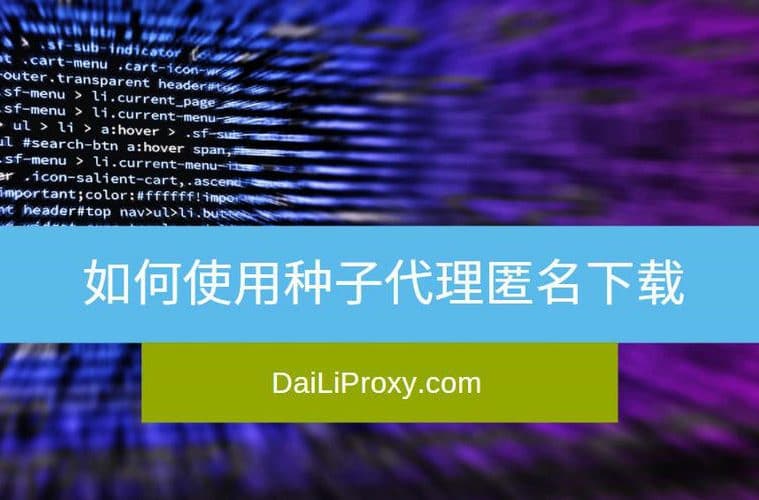 如何使用种子代理匿名下载