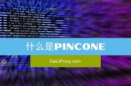 Pincone是什么