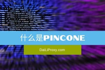 Pincone是什么