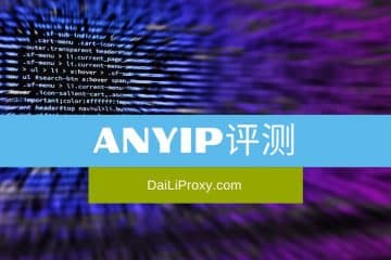 AnyIP评测