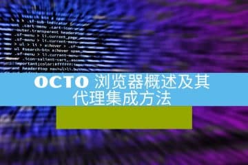 Octo 浏览器概述及其代理集成方法