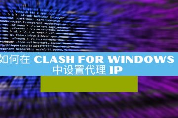 如何在 Clash for Windows 中设置代理 IP