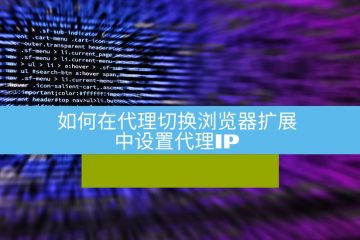 如何在代理切换浏览器扩展中设置代理IP