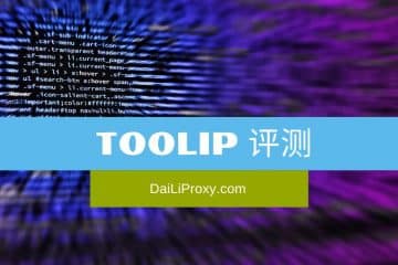 Toolip 评测