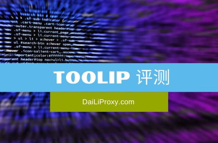 Toolip 评测